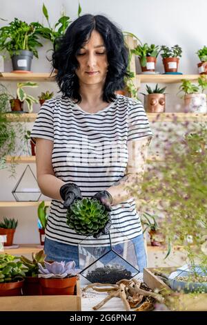 Donna florista trapianto di succulenti in fiori di vetro con decorazione botanica composizione artistica Foto Stock