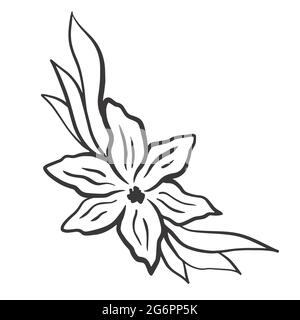 Silhouette di un fiore con foglie, illustrazione vettoriale. Elemento botanico decorativo angolare, colpo. Disposizione dei fiori per il disegno. Illustrazione Vettoriale