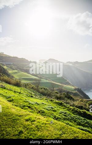 Un grande campo verde con una montagna sullo sfondo Foto Stock