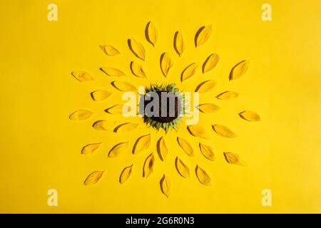 Design creativo con girasole e petali su sfondo giallo Foto Stock