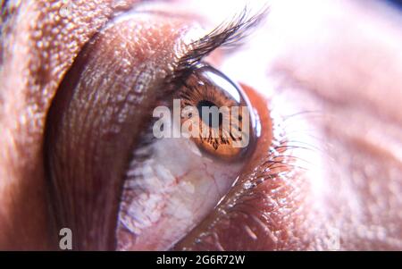 Primo piano di un occhio marrone Foto Stock