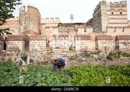 Fatih, Istanbul-Turchia - 05-20-2017:Vista delle storiche mura bizantine e dell'orto Foto Stock