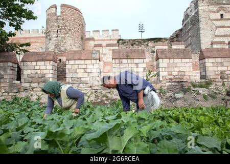 Fatih, Istanbul-Turchia - 05-20-2017:Vista delle storiche mura bizantine e dell'orto Foto Stock