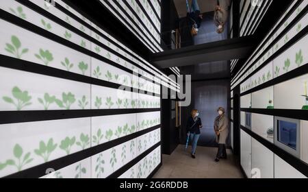 08 luglio 2021, Turingia, Erfurt: Kathrin Weiß (l), Direttore Generale della Mostra Federale orticola di Erfurt, presenta Monika Grütters (CDU), Ministro della Cultura, la mostra al Museo orticolo durante la visita alla Mostra Federale orticola di Ega Park. Durante la nomina, Grütters si è informata in loco dei progetti finanziati dal governo federale. Foto: Michael Reichel/dpa Foto Stock