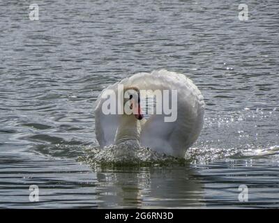 bellissimo ruscello che scivola lungo il fiume Foto Stock