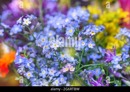 Elegante bouquet vero e delicato con fiori e momenti multicolori Foto Stock