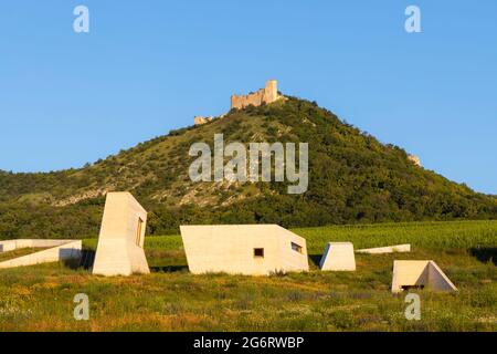 Archeopark a Pavlov, Moravia meridionale, Repubblica Ceca Foto Stock