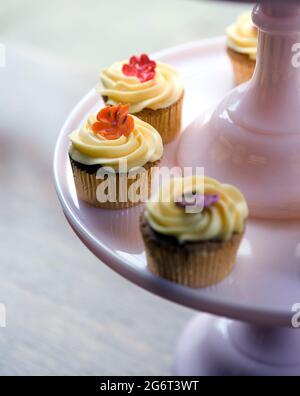 Cupcakes in vendita presso il negozio e panificio Fitzbillies Coffe nella città di Cambridge, Inghilterra, Regno Unito. Foto Stock