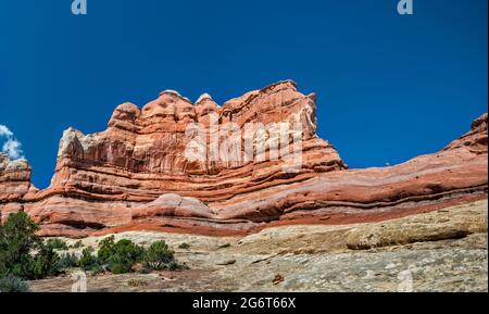 Affioramento di slickrock in sella a Big Spring/Squaw Canyon, escursionisti in lontananza, Big Springs Canyon Trail, Needles District, Canyonlands Natl Park, Utah Foto Stock