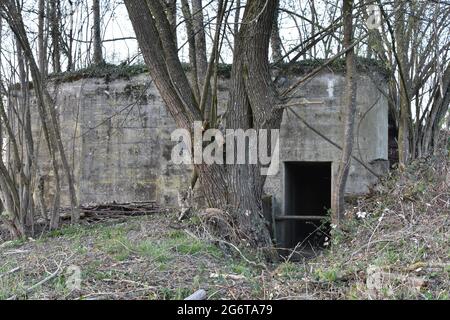 Ingresso a un vecchio bunker in cemento o rifugio tra alberi che è stato fatto per preparare la Svizzera alla guerra o per proteggere il popolo svizzero. Foto Stock