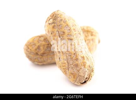 Crudo in Peanuts Shell isolato su uno sfondo bianco Foto Stock