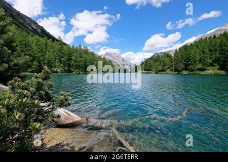 Lago Palpuogna, Lai da Palpuogna, nelle Alpi dell'Albula, Canton Grigioni, Svizzera. Foto Stock