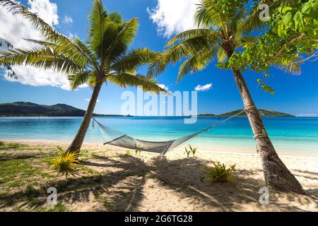 Amaca sotto palme su una spiaggia nelle Fiji Foto Stock