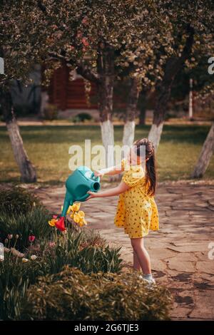 ritratto a lunghezza intera di una ragazza in un vestito giallo che innaffia tulipani da un annaffiatoio in un giardino con ciliegi in fiore sullo sfondo Foto Stock