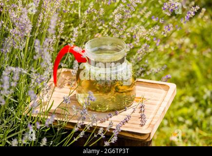 Tegame trasparente in vetro trasparente con tè alla lavanda appena raccolto in fiore al campo di lavanda nel soleggiato giorno d'estate. Concetto di tè alla lavanda. Foto Stock