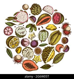 Design rotondo con papaia colorata, guava, frutto della passione, starfruit, durian, rambutan, pitaya, jackfruit, zucchero-mela, soursop, mangosteen Illustrazione Vettoriale
