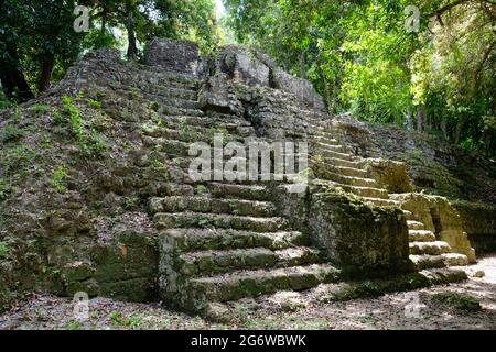 Parco Nazionale del Guatemala Tikal - Ruine nella zona di Palacio de las Acanaladuras Foto Stock