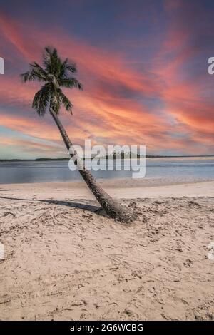 Isola tropicale di Boipeba nel nord-est del Brasile in Bahia. Foto Stock