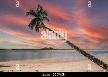 Isola tropicale di Boipeba nel nord-est del Brasile in Bahia. Foto Stock