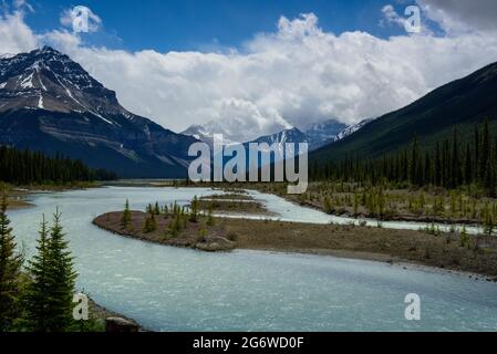Fiume Athabasca lungo l'icefield parkway Foto Stock