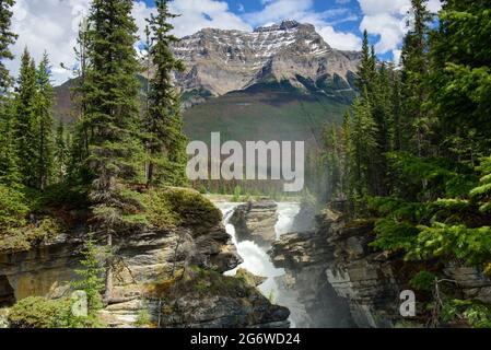 Fiume Athabasca che intagliano un canyon Foto Stock