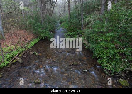 Area di Fires Creek nella foresta nazionale di Nantahala Foto Stock