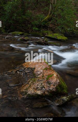 Area di Fires Creek nella foresta nazionale di Nantahala Foto Stock