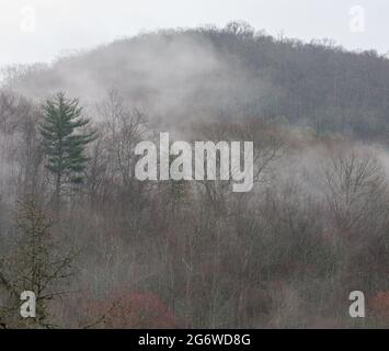 Area di Fires Creek nella foresta nazionale di Nantahala Foto Stock