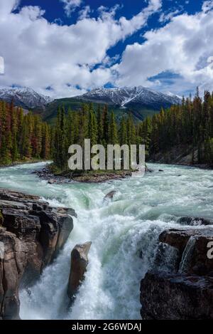 Sunwapta cade lungo l'icefield parkway vicino a Jasper Foto Stock