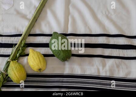 Simboli tradizionali Etrog, Lulav, hadas, arava. Sullo sfondo di un tallit, sulla festa ebraica di Sukkot Foto Stock