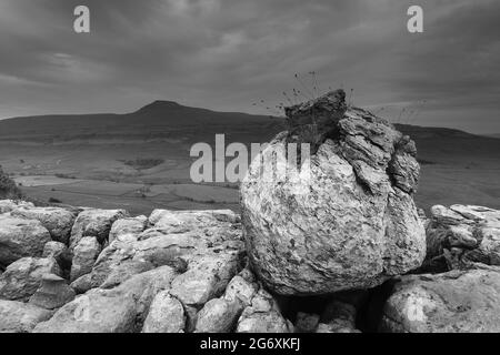 La vista verso Ingleborough su un pavimento in pietra calcarea conosciuto come Twistleton Scars, vicino a Ingleton nello Yorkshire Dales, North Yorkshire, Regno Unito Foto Stock