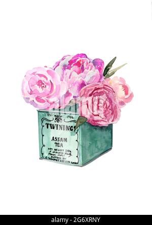 Mazzo di fiori rosa dipinti a mano in un Tino Twinings, isolato su sfondo bianco Foto Stock
