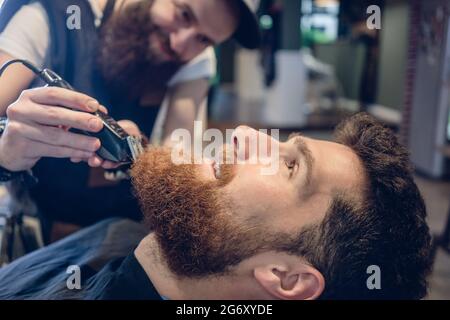 Side view close-up of the head of a redhead young man and the hand of a skilled barber, trimming his beard with an electric trimmer in a trendy hair s Stock Photo