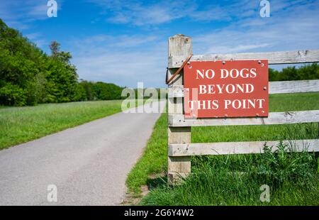 Nessun cane oltre questo punto segno su un percorso nella campagna in Inghilterra, Regno Unito. Foto Stock