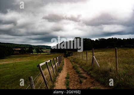 Pilgrim's Way, North Downs National Trail, Surrey. Foto Stock