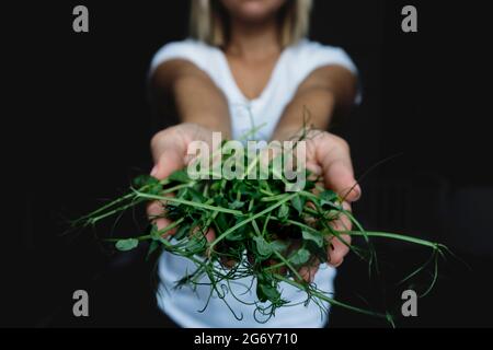 Cibo sano concetto. Foto Stock