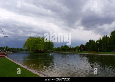 Grande salice su piccola isola al fiume in una giornata nuvolosa Foto Stock