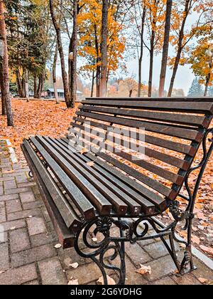 Solitario panca in legno sul sentiero nel parco autunnale. Cambiamento di stagione, concetto di tempo autunnale Foto Stock