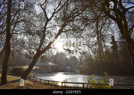 Alba in una mattina d'inverno a Arnot Hill Park, Nottingham. Foto Stock