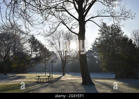 Alba in una mattina d'inverno a Arnot Hill Park, Nottingham. Foto Stock