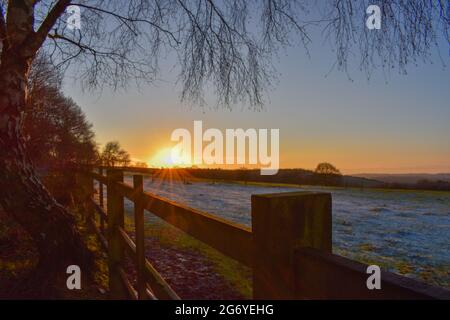 Giornata di sole invernale al Bestwood Country Park, Nottingham, Regno Unito Foto Stock