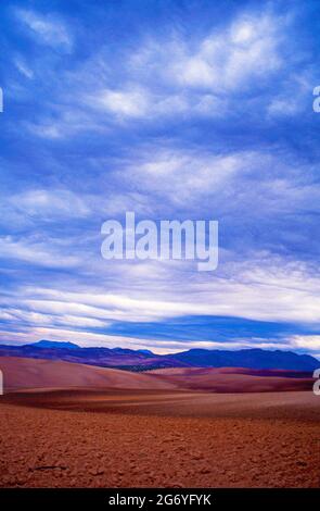 Spagna, Andalusia, paesaggio agricolo autunnale, Foto Stock