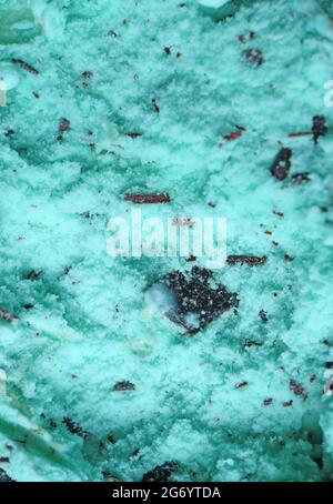 Closeup Mouthwatering Texture of menta Chocolate chip Ice Cream for Abstract background Foto Stock