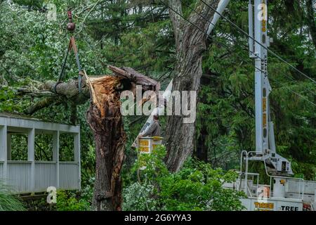 Milford, Stati Uniti. 09 luglio 2021. Un lavoratore rimuove un albero che è caduto su una casa a Milford dopo una forte tempesta causata dalla tempesta tropicale Elsa ha colpito la zona. Danni da tempesta tropicale Elsa colpire gli stati medio-atlantici Giovedi notte e Venerdì mattina. Credit: SOPA Images Limited/Alamy Live News Foto Stock