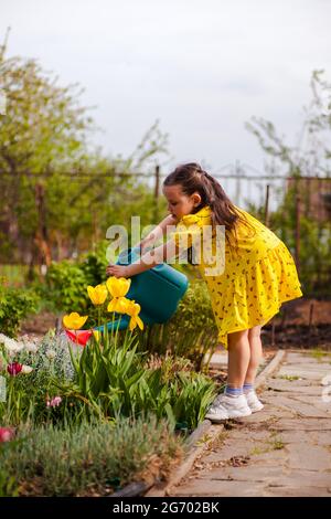 una ragazza in un vestito giallo si piega verso il basso ai fiori gialli per annaffiare da un giardino blu annaffiatura può, un po 'di giardiniere aiuta i suoi genitori a prendersi cura Foto Stock