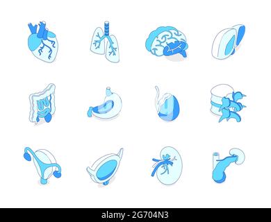 Organi interni umani - icone isometriche moderne su sfondo bianco. Sanità e medicina, idea di anatomia. Cuore, polmoni, cervello, fegato, stomaco, bla Illustrazione Vettoriale