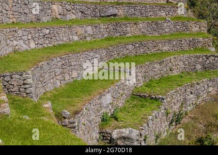 Ex terrazze agricole a Machu Picchu rovine, Perù. Foto Stock