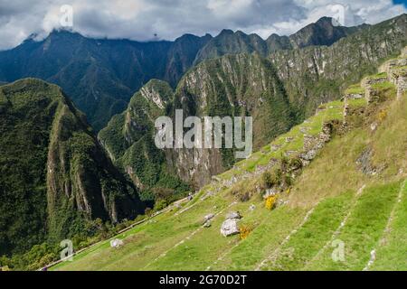 Ex terrazze agricole a Machu Picchu rovine, Perù Foto Stock