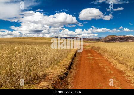 Strada in campi di cereali vicino al villaggio di Maras, Valle Sacra, Perù Foto Stock