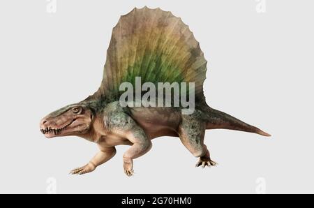 Illustrazione del sinapsid dimetrodon Foto Stock